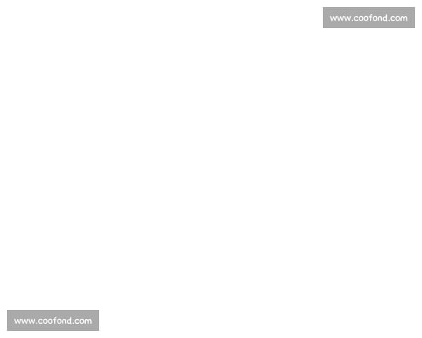土伦杯季军赛半场：亚历山大 - 林格瓦拉对轰 墨西哥 U20 暂 1-1 丹麦 U20