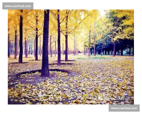 心有强风，燃动燕园：亚瑟士 × 北大高校接力赛圆满收官